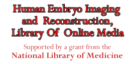 HEIRLOOM   Human embryo imaging and reconstruction, Library of online Media.