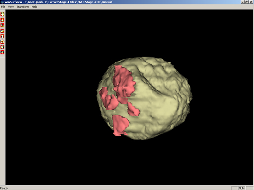 What is XDF Viewer
