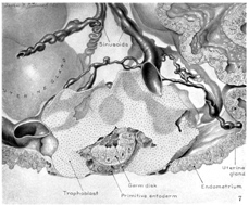 Fig 7