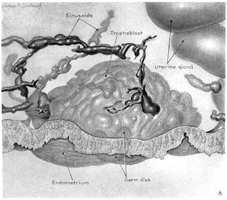 Fig 8