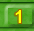 Zoom Level 1