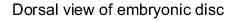 Embryo Figure legend
